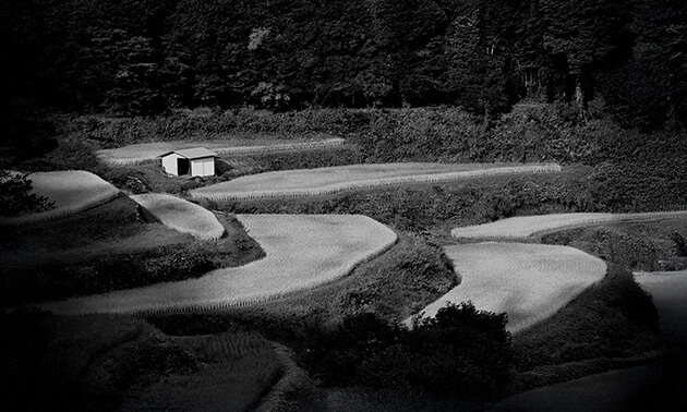 棚田と白い小屋