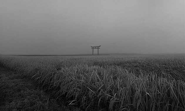 稲穂が垂れる田んぼに浮かぶ鳥居