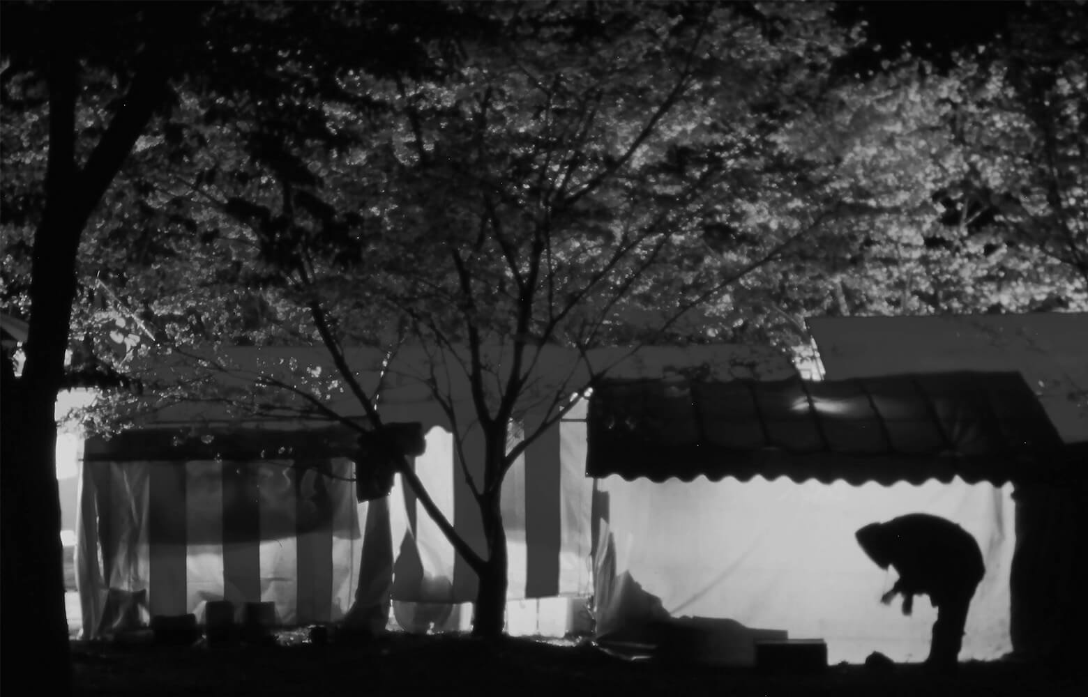 花が咲き乱れる桜の木の元で開かれる夜市